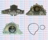 AQUAPLUS 85-7660 Water Pump